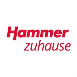 Logo Hammer